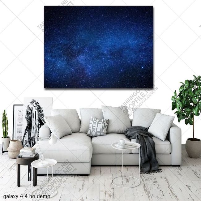 galaxy 4 4 ho